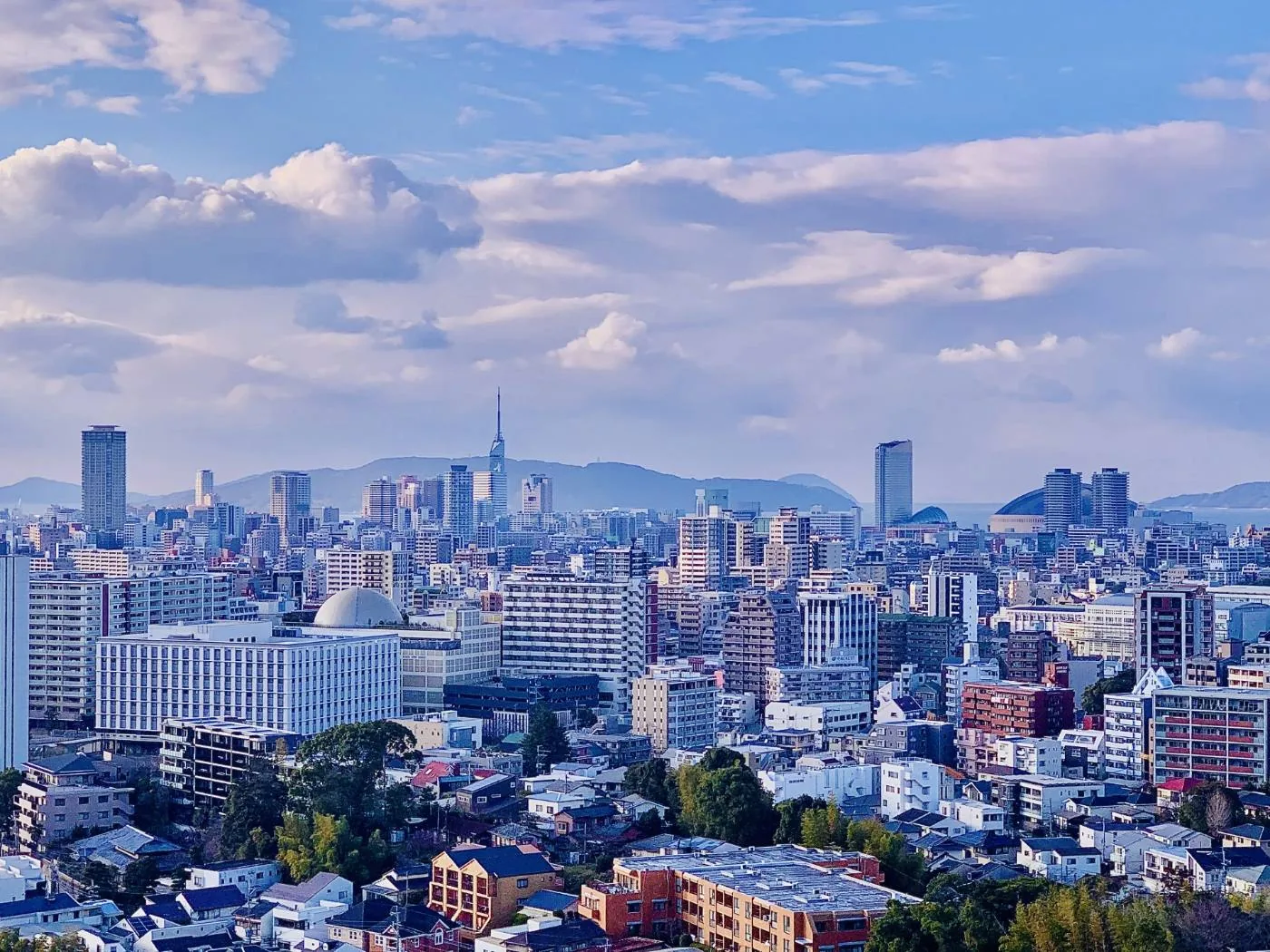 福岡と東京のエリア情報を検討するスタッフ